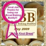 bbbuddies-may-09